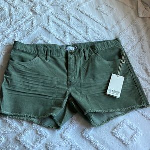 Carve Designs Oahu short- size 14